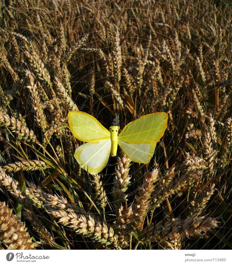 Girl ... Butterfly Yellow Patch of colour Animal Girlish Cornfield Field Wheat Wheatfield Middle Spring Summer Jump Happiness Sweet False Sounds of levity