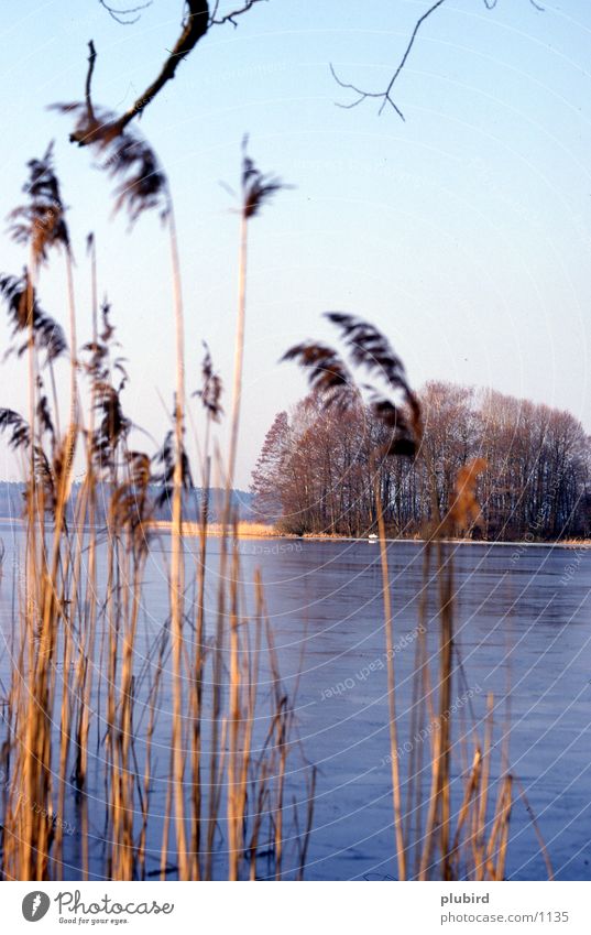 lakeshores Lake Water Island Coast