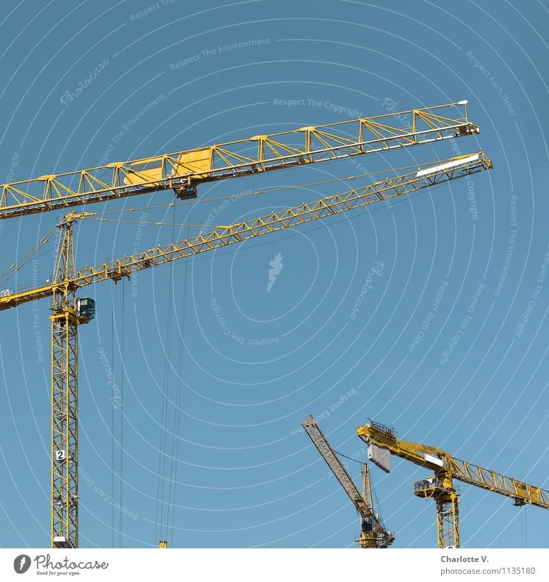 Build up, build up, build up! Construction site Crane Metal Stand Elegant Friendliness Thin Blue Yellow Contentment Power Change Luxury Sky Skyward Connection