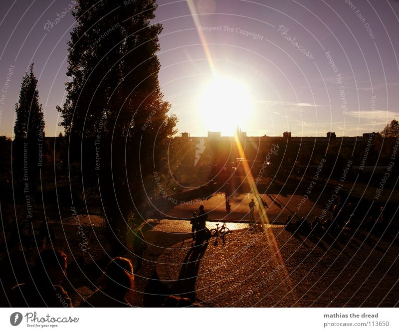 ONE OF THE LAST AUTUMN DAYS I Autumn Evening Physics Tree Accumulation Garden Park fine weather Sun Sunlight Nature Warmth Sky Beautiful weather wall park