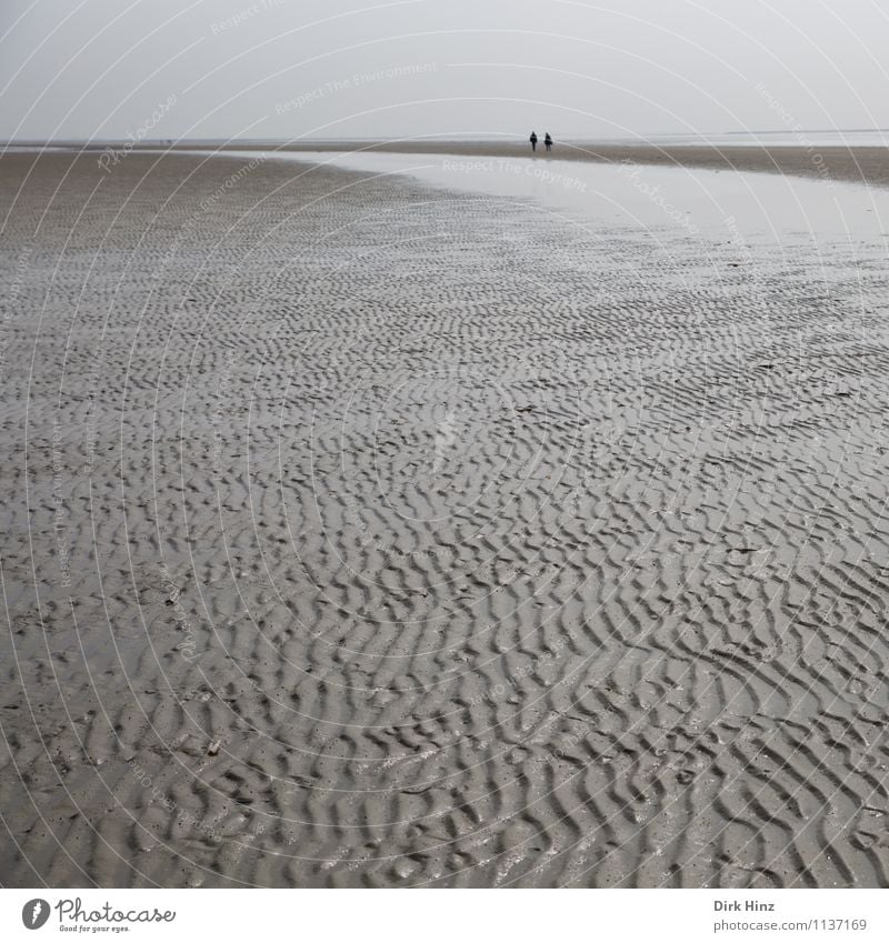 North Sea Tour II Environment Nature Landscape Earth Sand Water Horizon Coast Beach Tourism Environmental pollution Environmental protection Mud flats