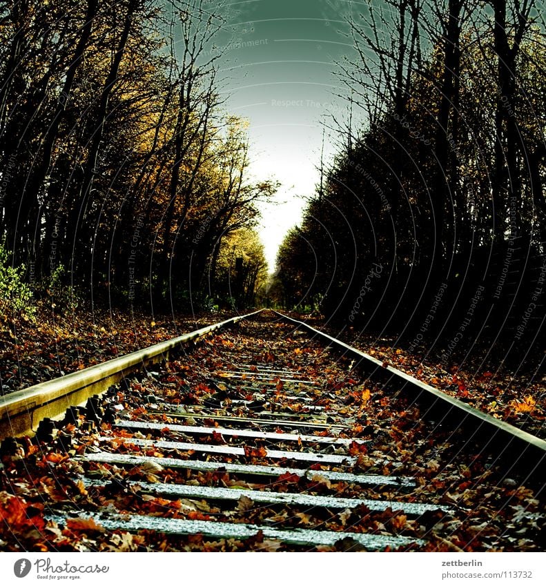 target Railroad tracks Rail transport Forest Ancillary road Horizon Vanishing point Autumn Winter Transport Train station threshold sleepers puffpufpuff