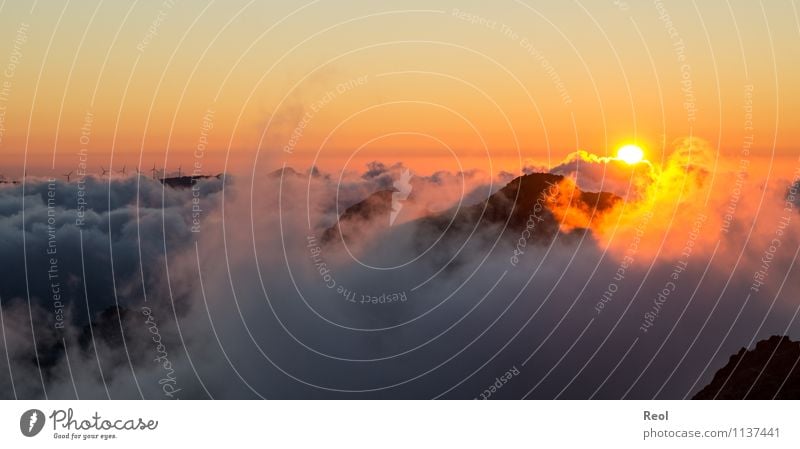 Above the clouds II Nature Landscape Elements Earth Air Sky Clouds Sun Sunrise Sunset Sunlight Summer Beautiful weather Hill Mountain Pico do Arieiro Peak