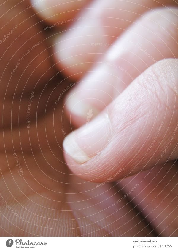 Gently Hand Palm of the hand Fingers Open Pore Easy Life Empty Macro (Extreme close-up) Skin color Fortune-telling Touch Wary Gesture Manageable Handshake