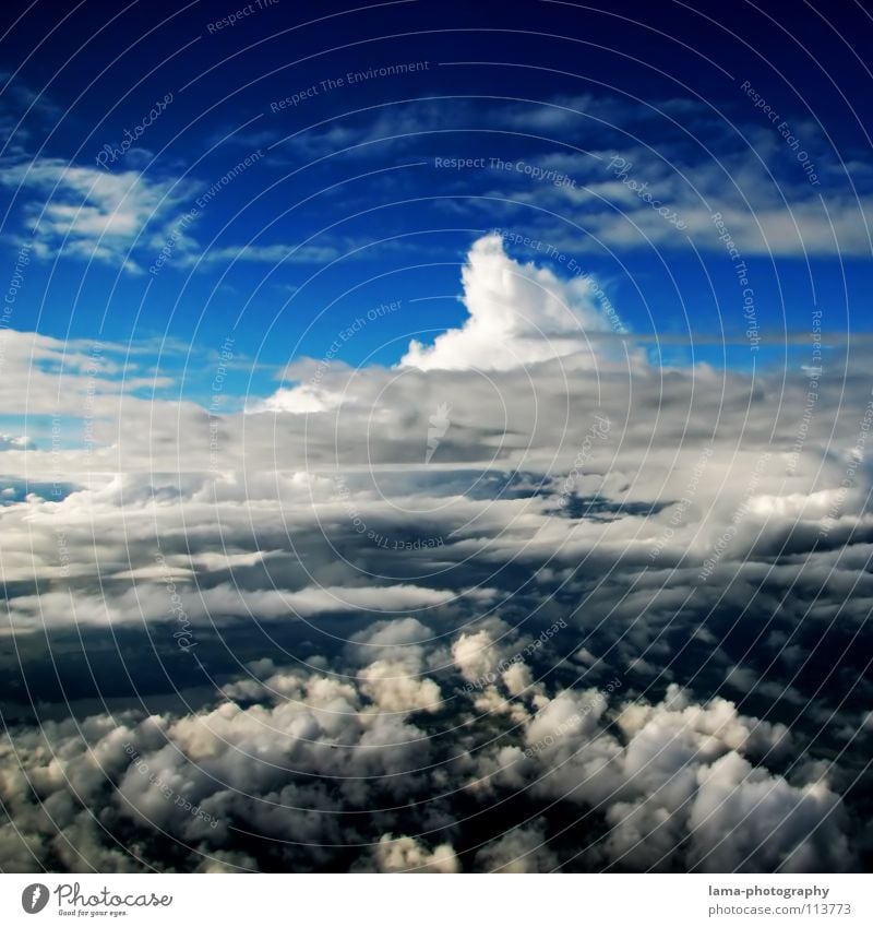 Endless Sky Clouds Cloud formation Blue Light blue Formation Above the clouds Raincloud Cumulus Mountain cloud Lighting Absorbent cotton Cotton candy Soft