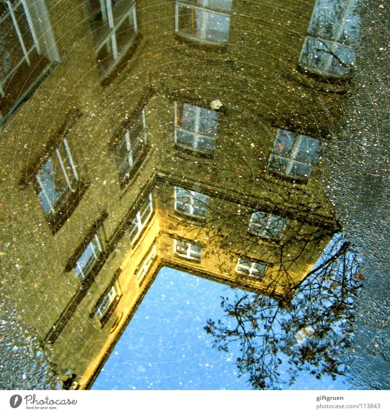 kreuzberg goes underground Puddle Kreuzberg Rain Autumn Wet Reflection Mirror House (Residential Structure) Building Backyard Tree Window Asphalt Industry