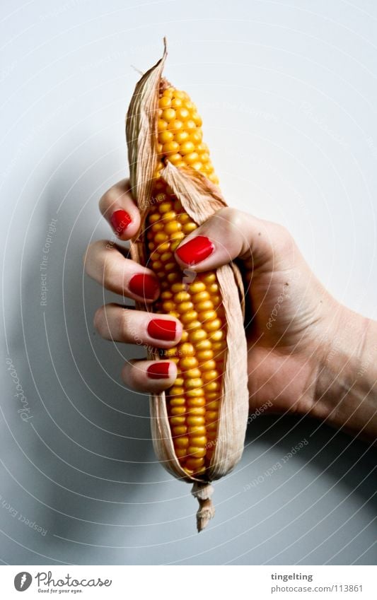 poppcorn Piston Corn cob Hand Red Yellow White Fingers Nail polish Fingernail Grain Popcorn Long Vegetable Maize To hold on Catch dots Dried Phallic symbol