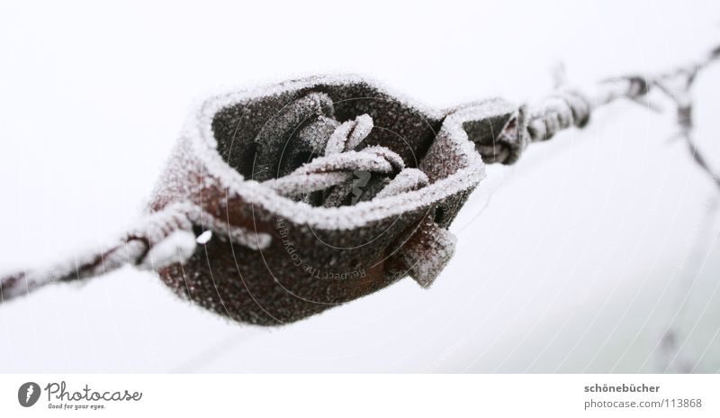 Rust with frost Hoar frost Cold Winter Gray Holder Brooch Fence Wire White Gloomy Grief Loneliness Captured Screw Repression Exterior shot Derelict Frost frogs