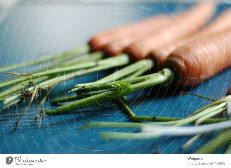 Turnip? Carrot Organic produce Thanksgiving Agriculture Kitchen Delicious Fresh Raw Green Tricolour Vegetable Nutrition Yellow turnips Nature Harvest Orange