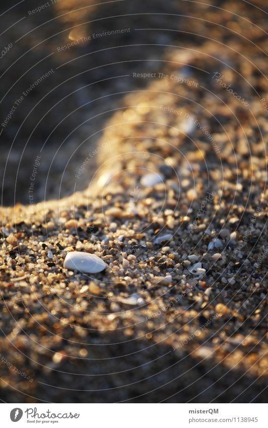 Sandy, how sandy on the beach. Art Esthetic Contentment Mussel Shell-shaped Shell sand Mussel shell Sandy beach Walk on the beach Vacation mood Summer vacation