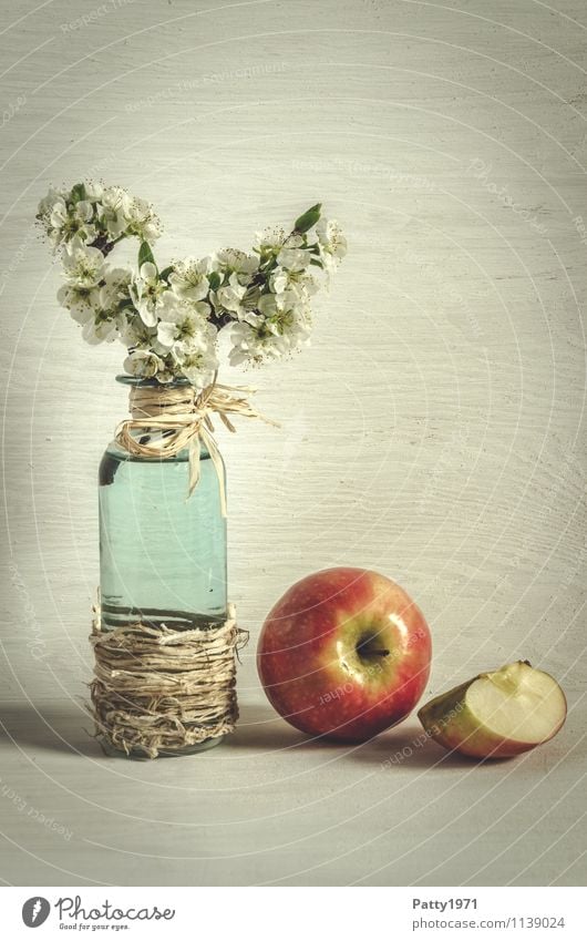 Blossom twig with apple Fruit Apple Decoration Still Life Plant Twig Apple blossom Glassbottle Vase Blossoming Fragrance Retro Esthetic Nostalgia Calm Style