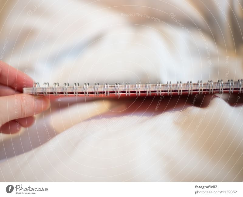 ring system. Lifestyle Art Write Piece of paper notebook Loose-leaf Hand To hold on White Red wire binding Colour photo Subdued colour Copy Space top