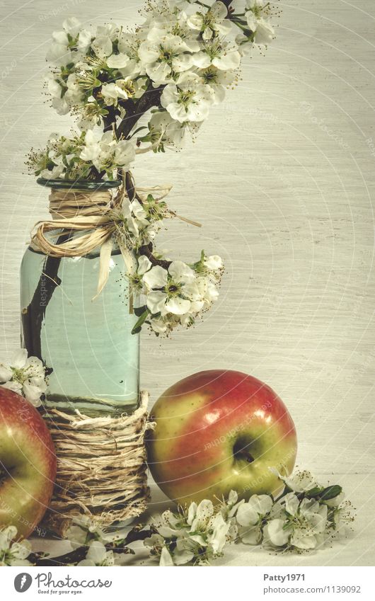 Blossom twig with apple Fruit Apple Decoration Still Life Plant Twig Apple blossom Glassbottle Vase Blossoming Fragrance Retro Esthetic Nostalgia Calm Style