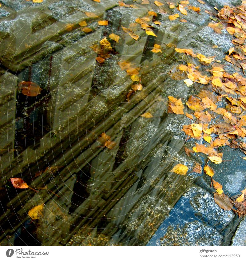 berlin the other way round Puddle Kreuzberg Rain Autumn Wet Reflection Mirror House (Residential Structure) Building Window Facade Cobblestones Detail Berlin