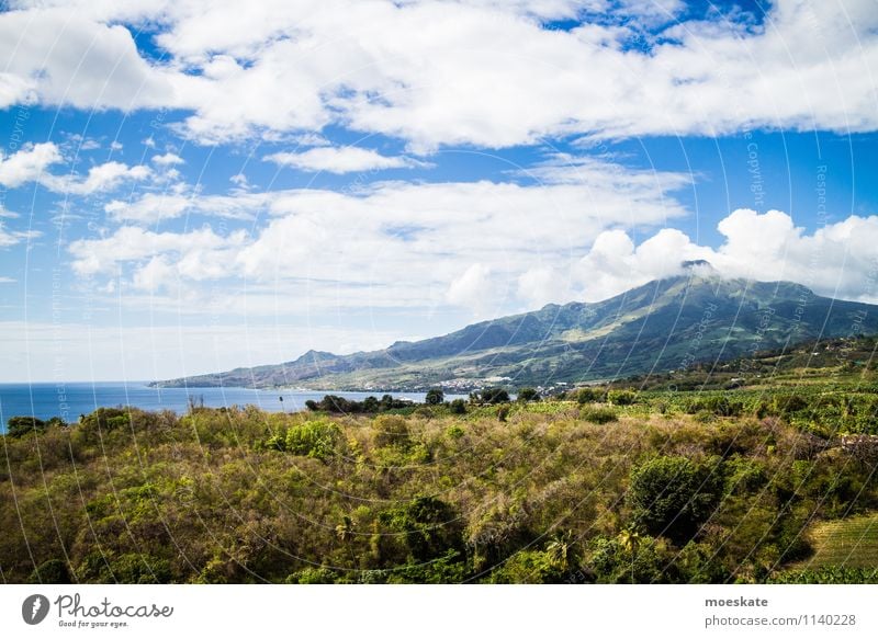 Montagne Pelée Martinique Mountain Volcano Ocean Blue Green Caribbean Volcanic island France Clouds Forest Colour photo Subdued colour Exterior shot Deserted