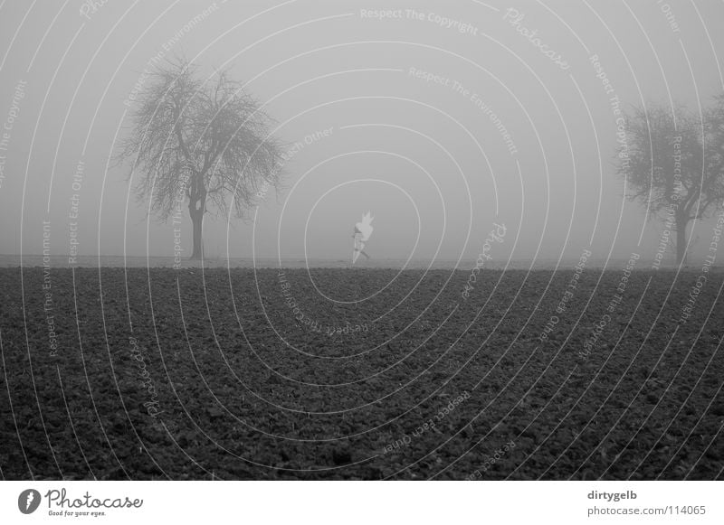 Fog Sports Jogging Field Tree Autumn Dark Gray Black & white photo B/W B&W Nature