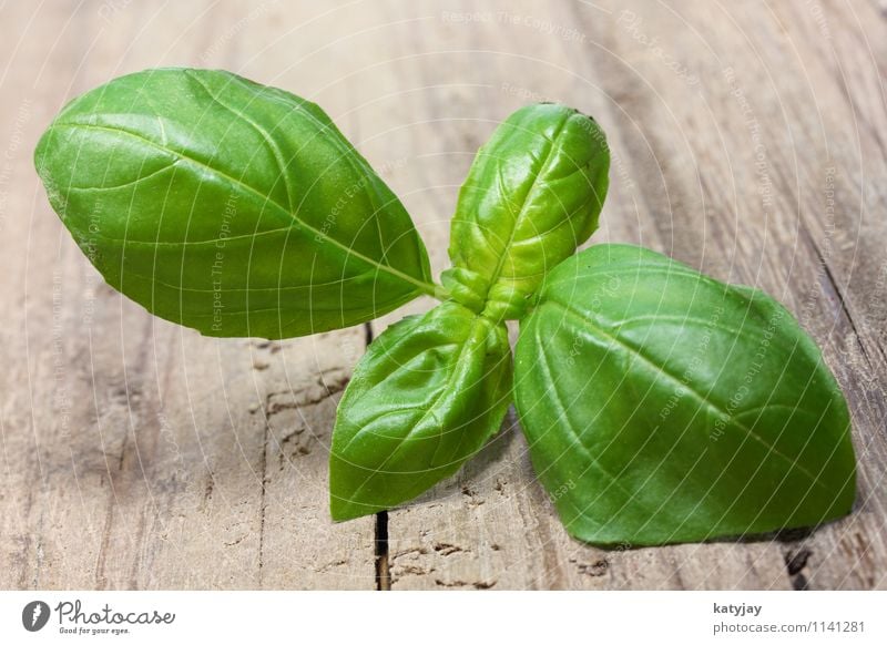 basil Basil Healthy Eating Dish Food photograph Fresh Sense of taste Herbs and spices Green Background picture Culinary Kitchen Leaf Delicious Italian Food