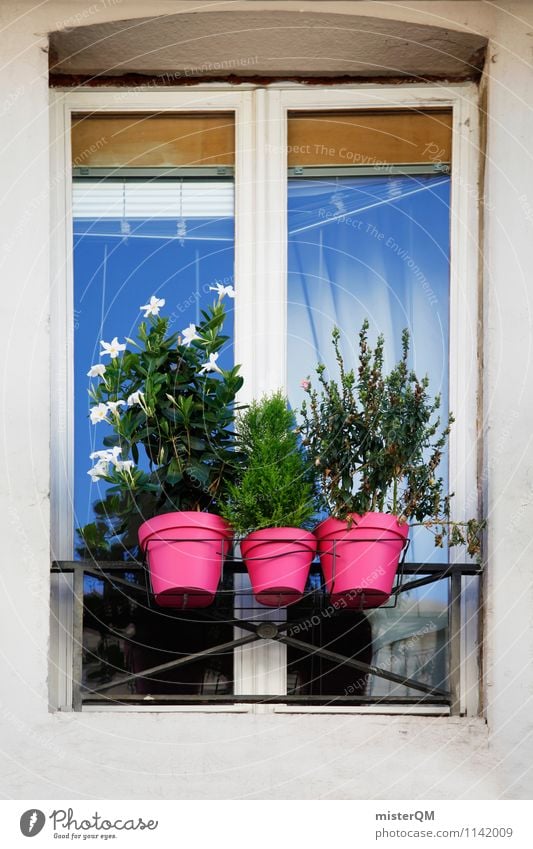 French Windows I Art Esthetic Car Window Airplane window Shutter Window pane Window board View from a window Window frame Flowerpot Colour photo Multicoloured