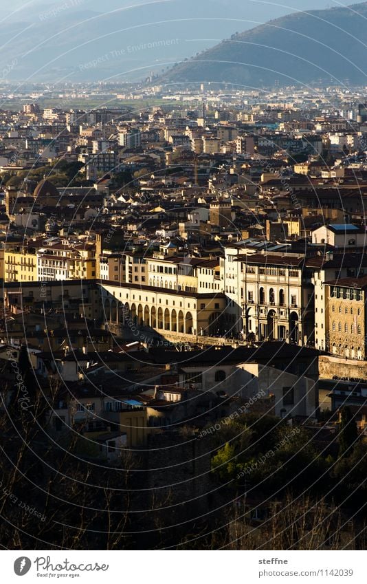 Around the World: Firenze Sunrise Sunset Tourism Florence Tuscany Italy Uffizien Evening sun Old town Vantage point Copy Space bottom