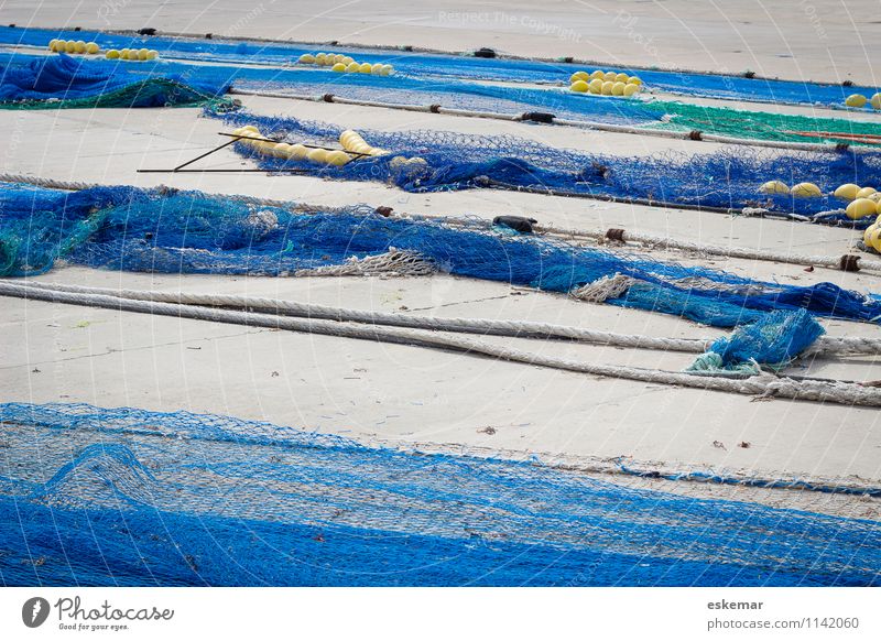 fishing nets Harbour Fishing net Net Blue Effort Esthetic Contentment Network Fishery Spain Interlaced enmeshed entangled Colour photo Exterior shot Deserted