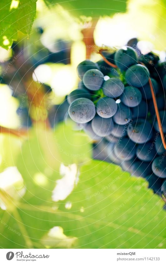 Wine Trail II Art Esthetic Vineyard Bunch of grapes Wine growing Grape harvest Vine leaf Winery Grape juice Colour photo Exterior shot Detail Experimental