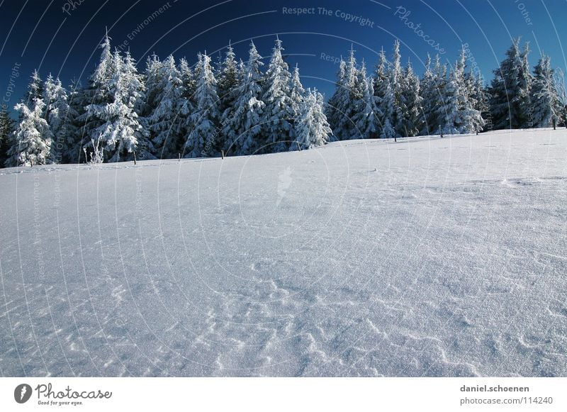 Christmas card 20 Winter Black Forest White Fir tree Coniferous forest Deep snow Hiking Leisure and hobbies Vacation & Travel Jinxed Mystic Abstract