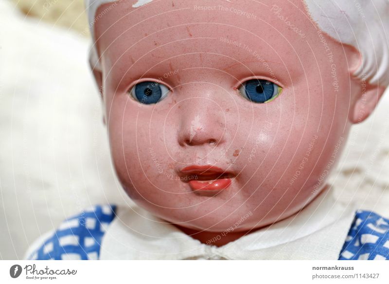 doll's face Toys Doll Plastic Retro Face doll's head doll portrait Head Delicate Facial expression Colour photo Interior shot Day Flash photo