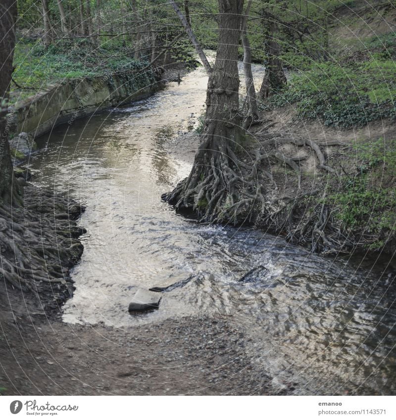 village stream Vacation & Travel Tourism Environment Nature Landscape Plant Water Climate Tree Coast River bank Brook Green Freiburg im Breisgau