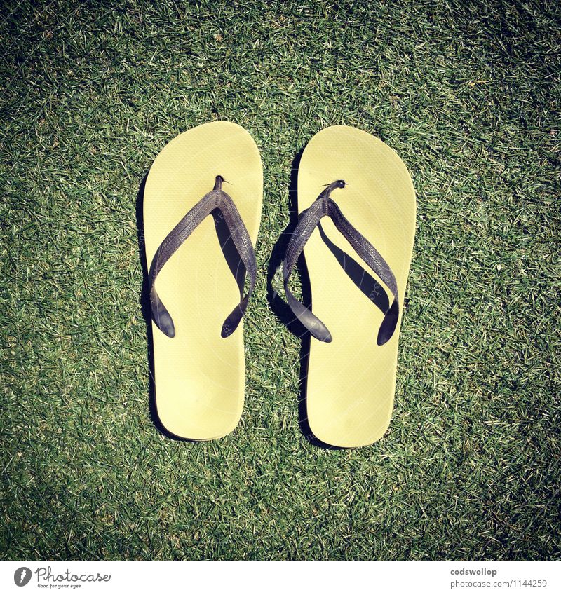 Eccles-Jordan circuits Summer Flip-flops Plastic Cheap Yellow Green Warm-heartedness Vacation & Travel Artificial lawn Colour photo Exterior shot Copy Space top