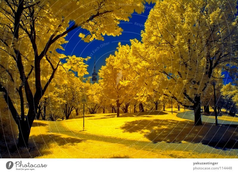 climate change Olympic Park Munich Infrared Infrared color Tree Olympic Tower Bushes Meadow Yellow Drought Long exposure Summer Traffic infrastructure