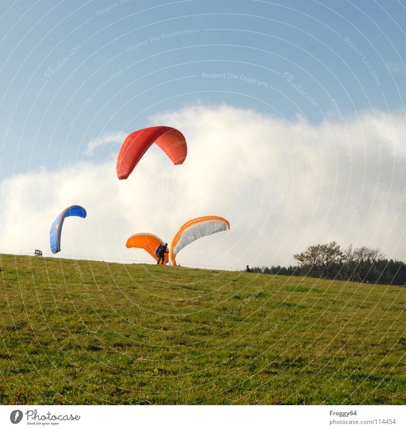 All the birds are here. Paragliding Paraglider Play of colours Sky blue Romance Sunlight Clearance for take-off Contrast Südbaden Schauinsland Monitoring Joy