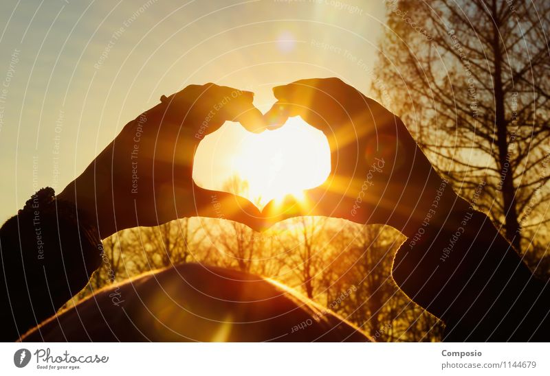 Heart / Sun Lifestyle Harmonious Leisure and hobbies Nature Sunrise Sunset Sunlight Beautiful weather Love Looking Esthetic Elegant Infinity Hot Orange Emotions