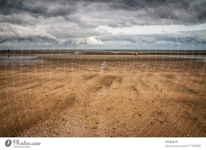 beach walk Well-being Calm Vacation & Travel Tourism Trip Far-off places Summer Summer vacation Beach Ocean 2 Human being Nature Landscape Sand Storm clouds