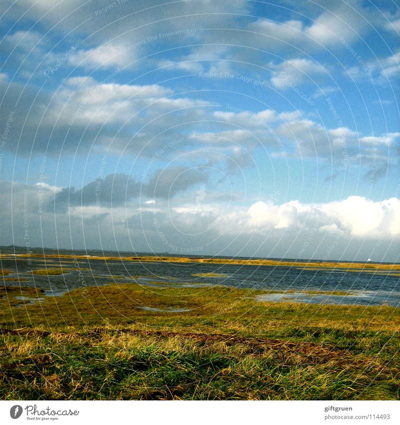 autumn landscape IV Autumn Autumnal landscape Coast Multicoloured Seasons Beach Ocean Clouds Transience October November Bad weather Meadow Grass Sky North Sea