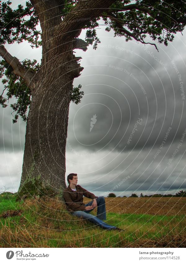 Time to think Think Break Switch off Thought Dark Man Young man Gloomy Grief Loneliness Divide Breathe To enjoy Relaxation Field Cornfield Barley Tree Oak tree