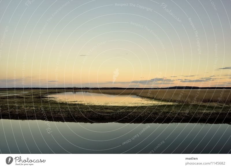 eye candy Nature Landscape Plant Water Sky Horizon Sunrise Sunset Spring Weather Beautiful weather Grass Meadow Coast Lakeside River bank Bog Marsh Deserted