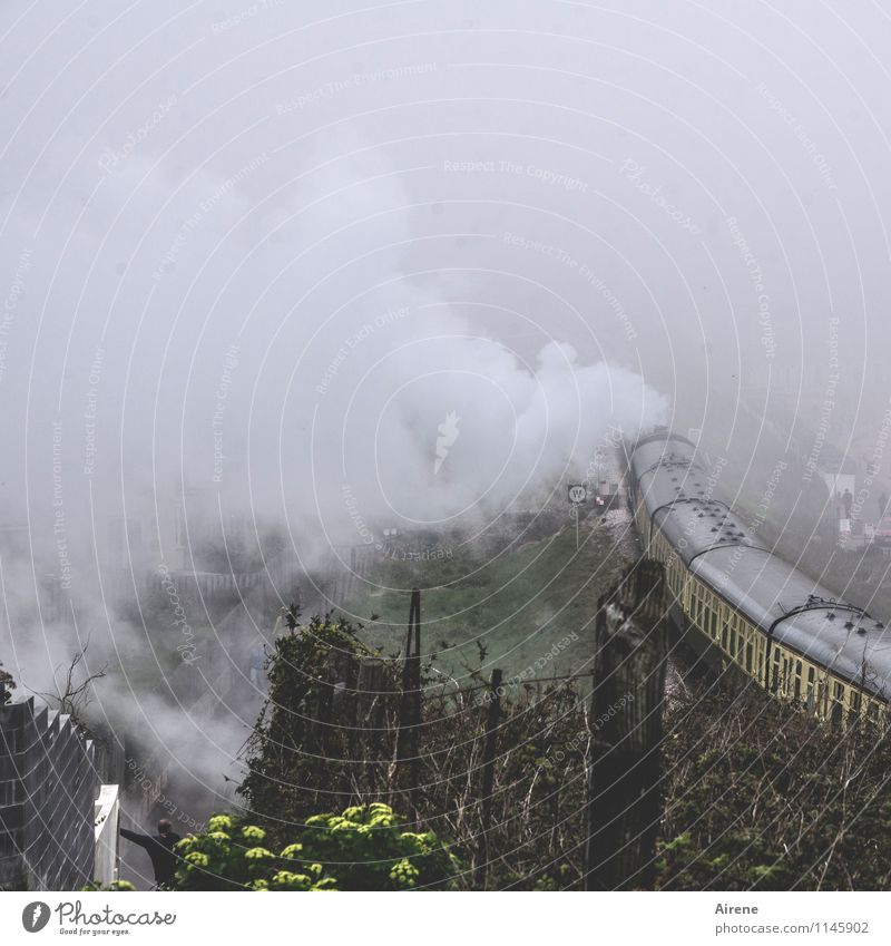 steam off Fog Railroad Clouds Nostalgia Steamlocomotive Passenger traffic Train travel Rail transport Engines Passenger train Train station Platform