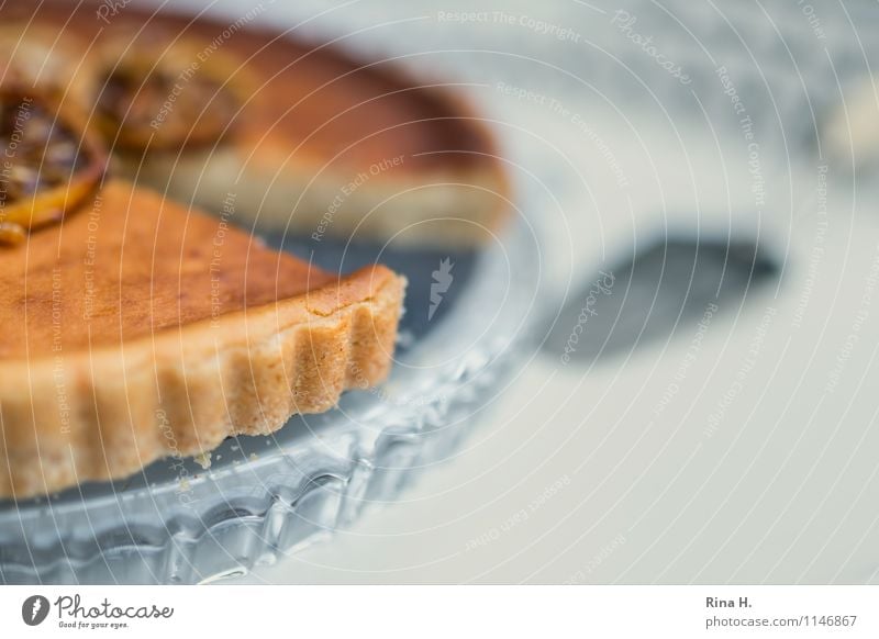 Lemon Ricotta Tart IV Cake Delicious Sweet food Cake server Cake plate tart Colour photo Exterior shot Copy Space right Copy Space bottom Shallow depth of field