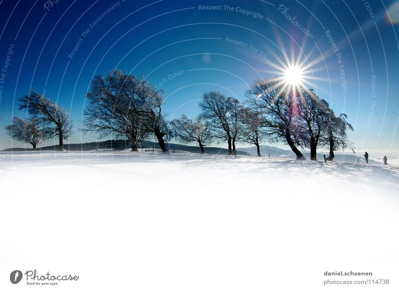 Christmas card 23 Sunbeam Winter Black Forest White Deep snow Hiking Leisure and hobbies Vacation & Travel Background picture Tree Snowscape Horizon Loneliness