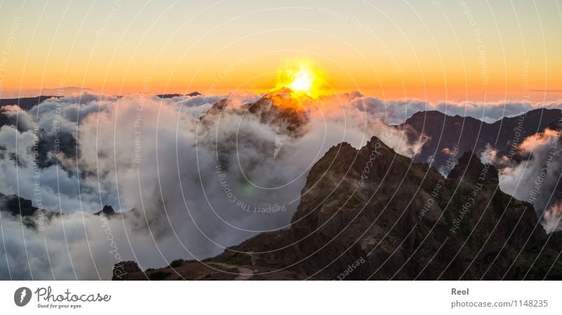 Above the clouds III Nature Landscape Elements Earth Fire Sky Cloudless sky Clouds Summer Beautiful weather Hill Rock Mountain Pico do Arieiro Peak Island