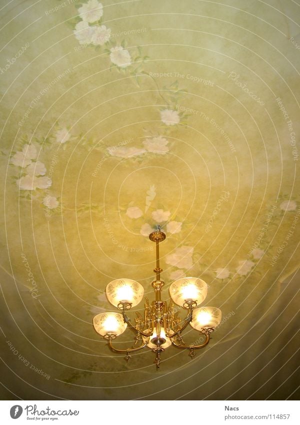 Ceiling lamp Lamp Ceiling fresco Tendril Flower Green Yellow Light Bright Room Design Nostalgia Lampshade Rose Progress Glittering Leaf Building Living room