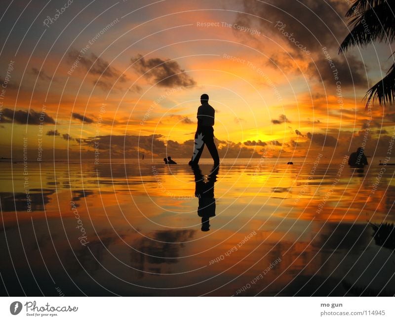 walking on water Sunset Asia Multicoloured Ocean Spirituality Perfect Reflection Swimming pool Vacation & Travel Maldives Romance Man Jesus Christ Going Above