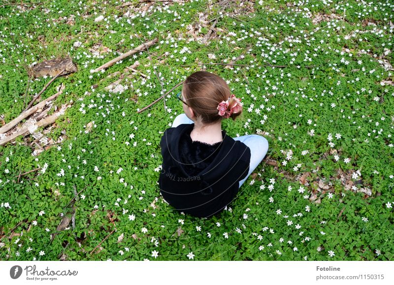 Spring is finally here and anemones are blooming everywhere in full glory Human being Feminine Child Girl Infancy Youth (Young adults) Body Head