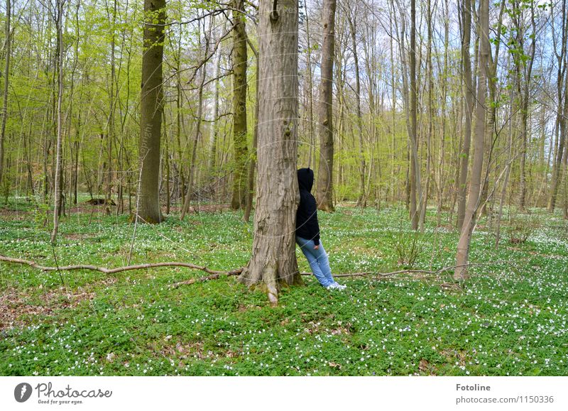 My support Human being Feminine Girl Young woman Youth (Young adults) Infancy 1 Environment Nature Landscape Plant Spring Beautiful weather Tree Flower Forest