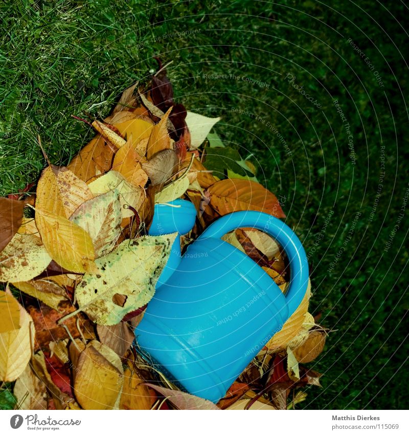 watering can Watering can Summer Daisy Meadow Vacation & Travel Closing time Playing Leisure and hobbies Beautiful Calm Autumn Tree Leafless Clouds