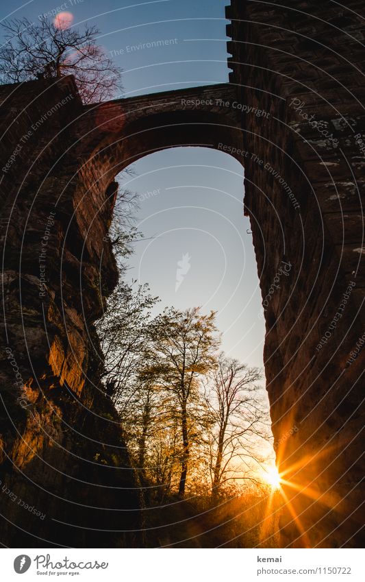 sun gate Adventure Trifels Elements Sun Sunrise Sunset Sunlight Spring Beautiful weather Warmth Tree Forest Rock Castle Ruin Wall (barrier) Wall (building) Gate