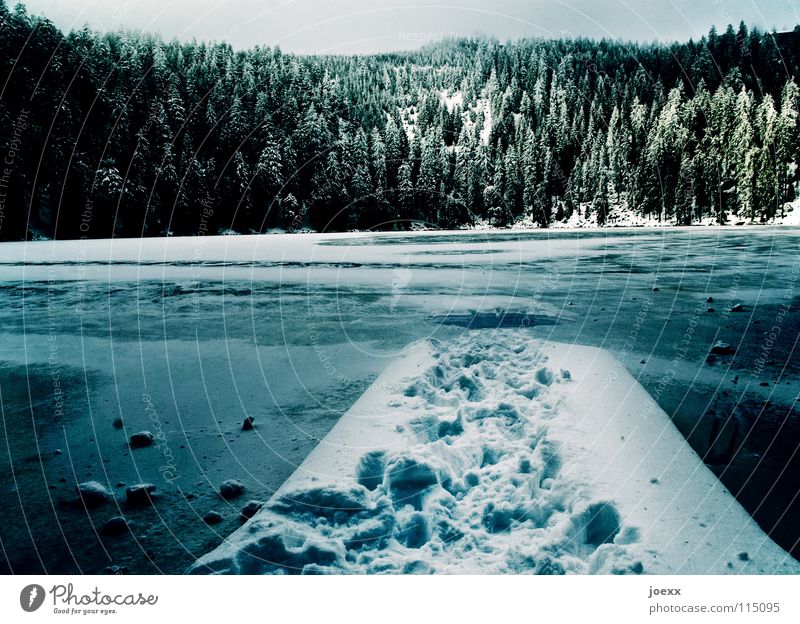 Path under ice Remote Fear Mountain lake Mountain forest Dark Loneliness Ice bathing Cold Ice-skating Vacation & Travel Freeze Footprint Calm Fairy tale