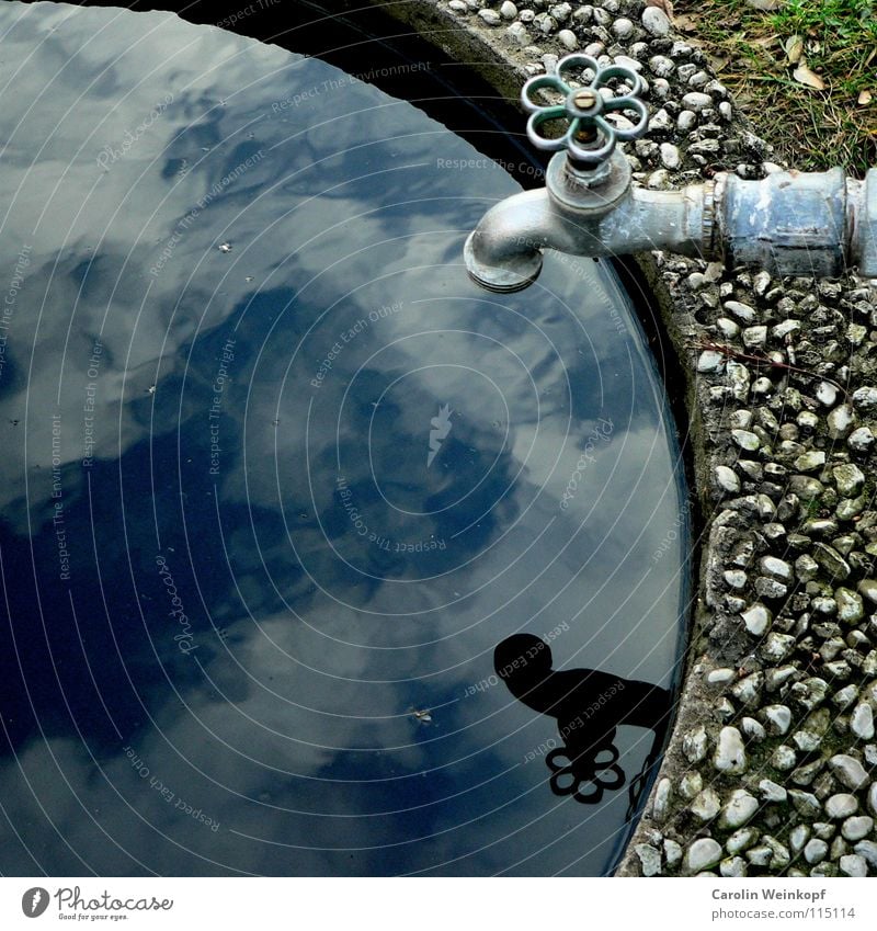 Berlin in a square I Tap Clouds Cemetery Wall (barrier) Meadow Crane Reflection Blue Gray Green Well Longing Grief Distress Winter Sky Earth Shadow Stone Death