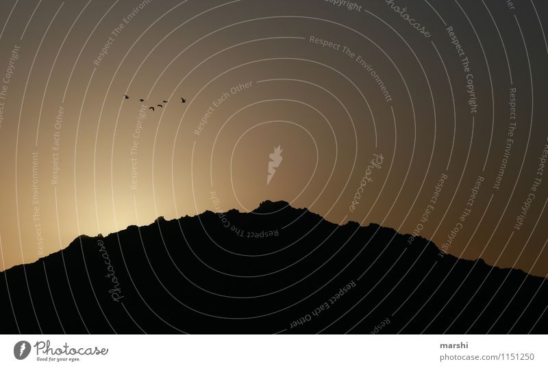 When the Sun goes Down Nature Sunrise Sunset Climate Mountain Emotions Bird Sardinia Dark Vantage point Colour photo Exterior shot Twilight Light Shadow