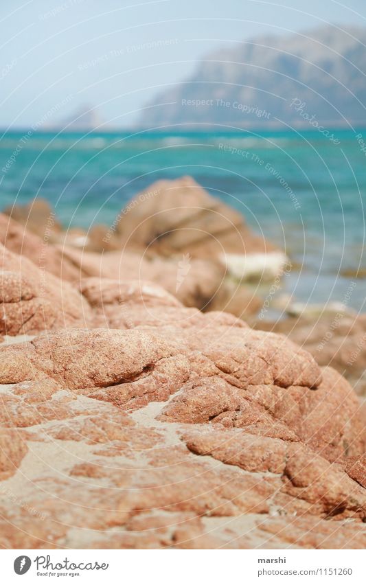 On the beach Nature Landscape Plant Water Sun Spring Summer Mountain Beach Bay Ocean Moody Travel photography Vacation & Travel Stony Red Vantage point